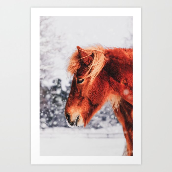 Chestnut Horse in The Snow - Matte Version Art Print