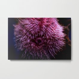 Pink Sea Urchin Metal Print | Echinoderm, Needles, Nature, Seafood, Fuzzy, Seaurchin, Creature, Creepy, Weird, Halloween 