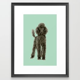 Poodle Framed Art Print
