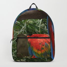 Scarlet Macaws Backpack