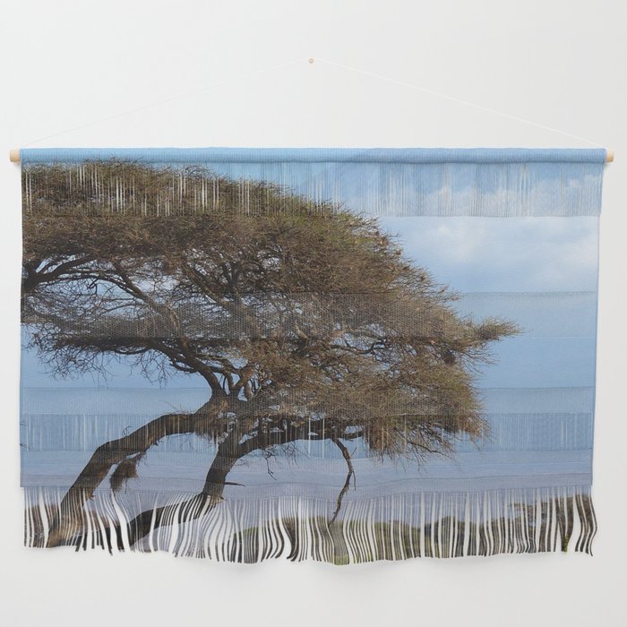 South Africa Photography - Dry Acacia Tree In The Savannah Wall Hanging