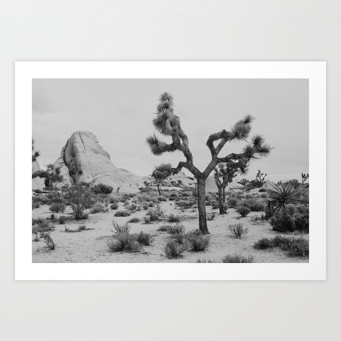 Art Print