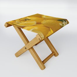 Lemons Folding Stool