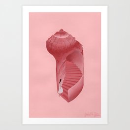 Seashell Art Prints For Any Decor Style Society6