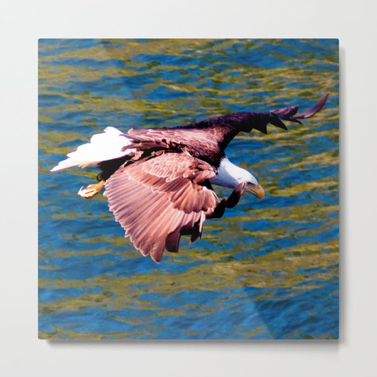 Eagle: Low Level Mission Metal Print