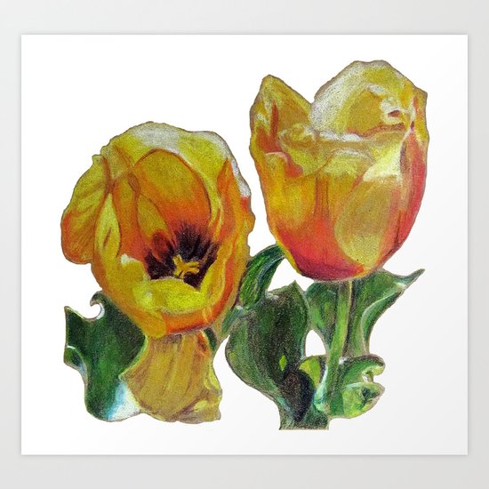 Bright Yellow Tulips Flower Drawing Art Print