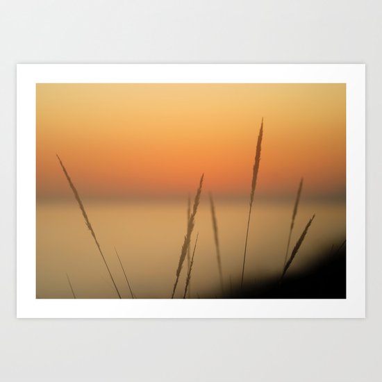 Sea spikes Art Print