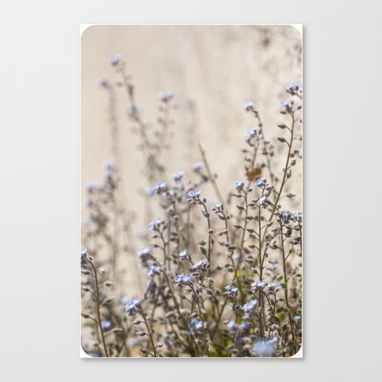Soft Canvas Print