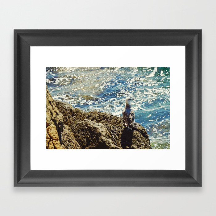 Seagull and Sea Photo | Amalfi Coast Nature | Italy Summer Travel Photography Framed Art Print