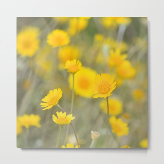 Sunshine Dance Metal Print