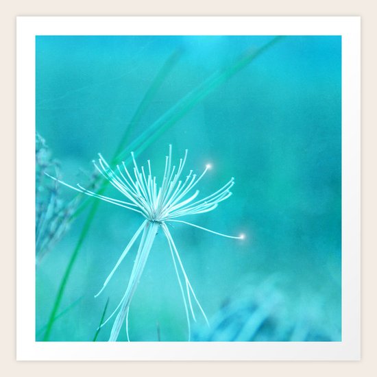 Winter days Art Print