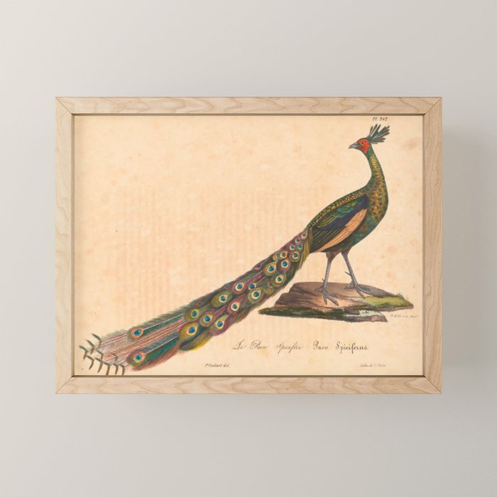 Framed Mini Art Print