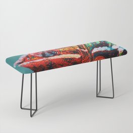 South Africa Photography - Colorful Chameleon Bench