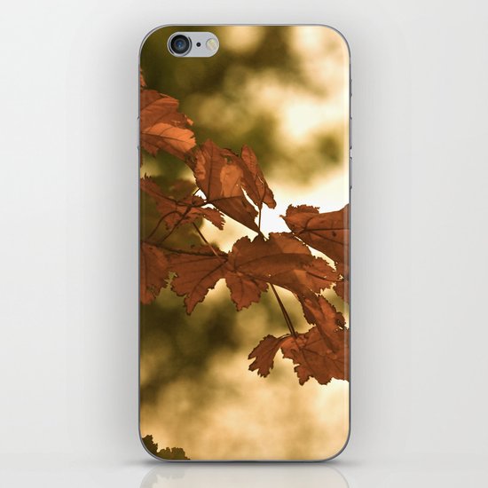 Fall Leaves iPhone & iPod Skin