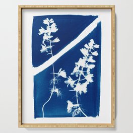 Cyanotype - Pressed flower -  graphic Serving Tray