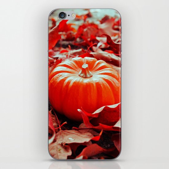 Autumn details iPhone Skin
