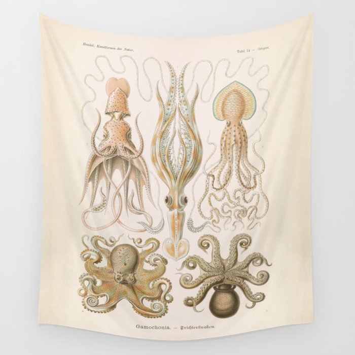Vintage Octopus Illustration Print, Scientific Illustrations, Octopus Print, Octopus Wall Art Wall Tapestry
