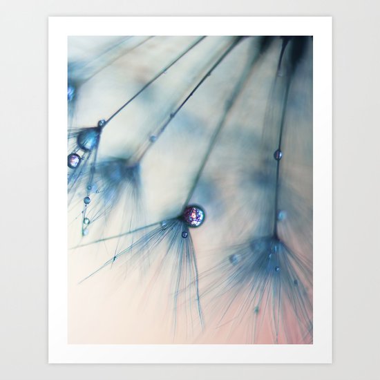 dandelion blue III Art Print