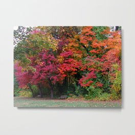 Wildwood Metropark Metal Print | Digital, Fall, Toledo, Landscape, Photo, Wildwoodpark, Foliage, Nature, Autumn, Michialeschneiderphotography 
