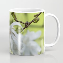 Star Magnolia Soaked Coffee Mug