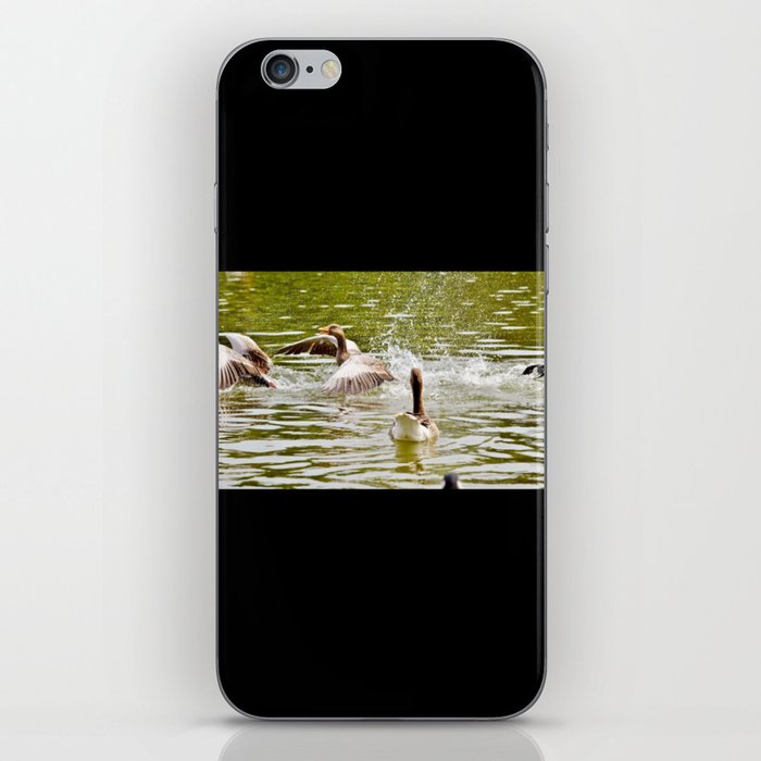 Hunting Ducks iPhone Skin