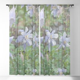 Colorado Columbine Flowers Sheer Curtain