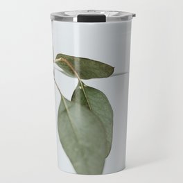 Seeded Eucalyptus | 1 Travel Mug