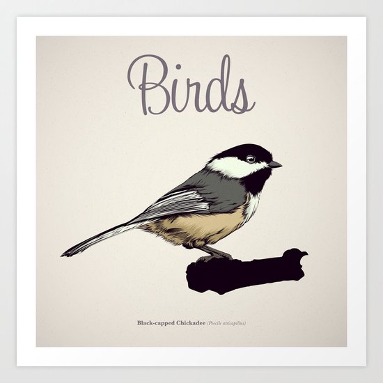 BIRDS 03 Art Print