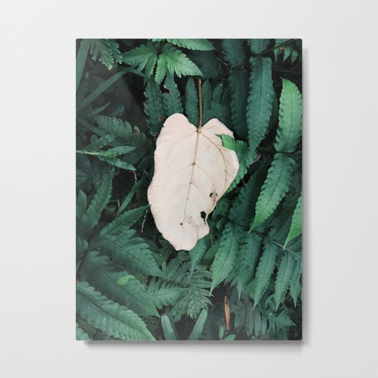Nature Walk 001 - White Leaf Metal Print
