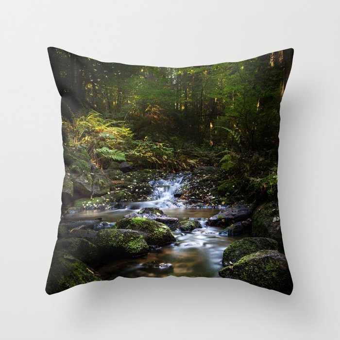 Reality lost Throw Pillow