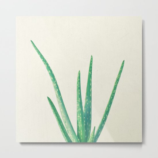 Aloe Vera Metal Print