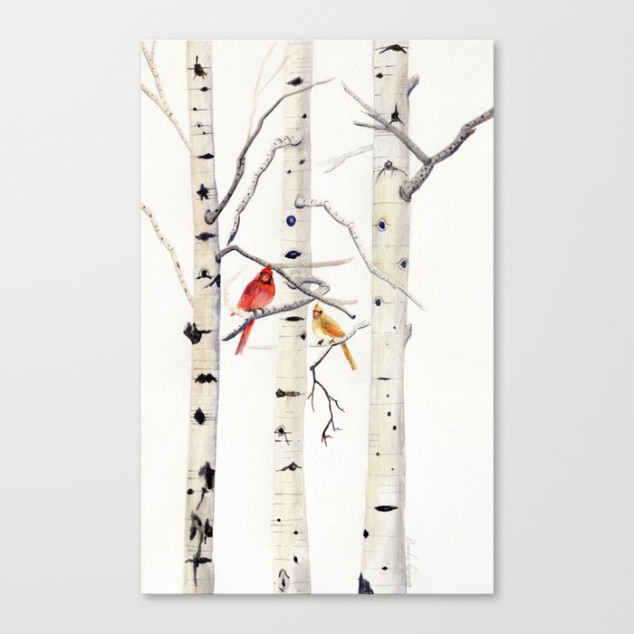 Birch Trees and Cardinal Canvas Print
