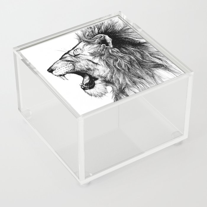 Lion of Judah Acrylic Box