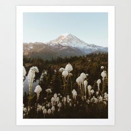 Mount Rainier NP Art Print