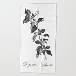 Oregano Botanical Illustration Beach Towel