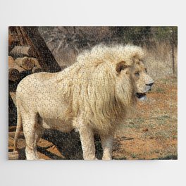 South Africa Photography - Beautiful Lion Standing By Some Timber Jigsaw Puzzle