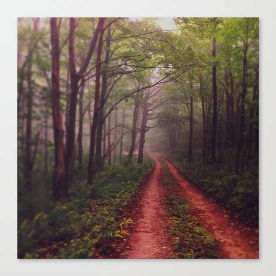 Stay Wild Canvas Print