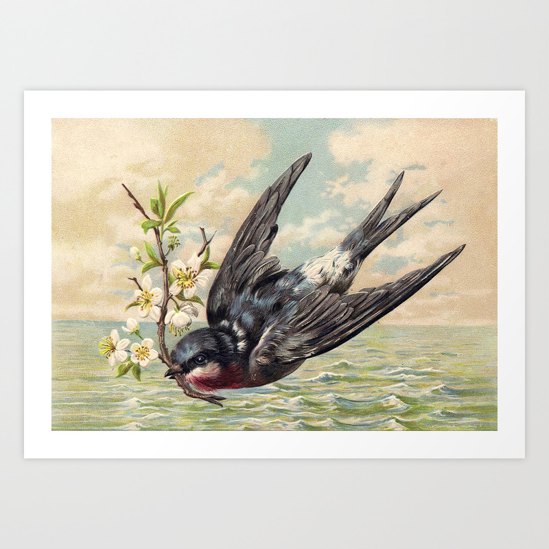 Vintage Ocean Swallow Art Print By Vintagebirds Society6
