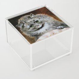 Louis Wain, Persian Cat Acrylic Box