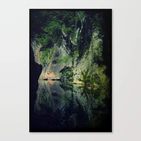 REFLECTIONS #2 Canvas Print