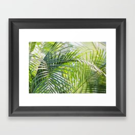 Palm Leaves Framed Art Print
