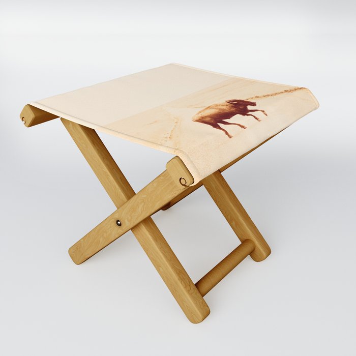 Buffalo Road x Wild West Photography Folding Stool