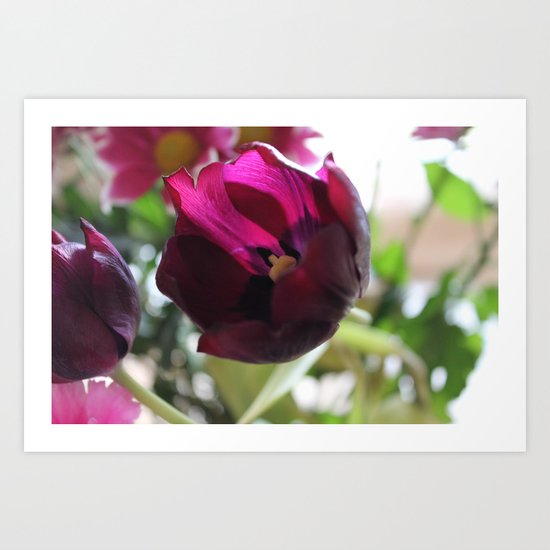 Tulip Art Print