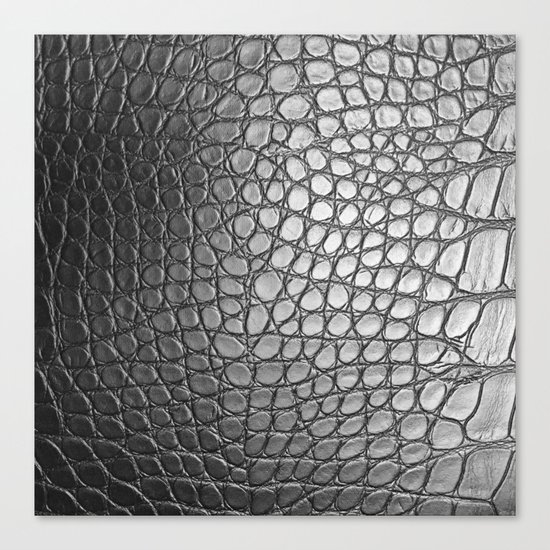 Scales Canvas Print