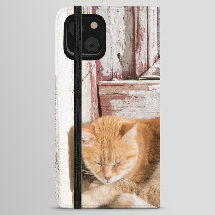 Cute Cat in Anafiotika Athens #1 #wall #art #society6 iPhone Wallet Case