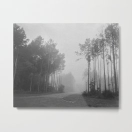 Endangered Metal Print | Trees, Film, Earthday, Photo, Forest, Black And White 