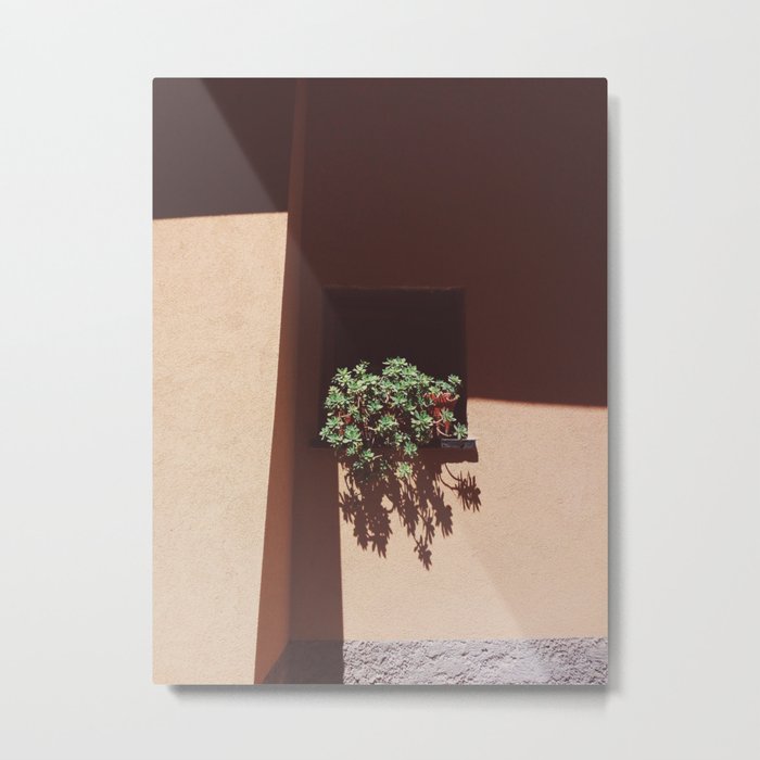 Desert window succulent plants Metal Print