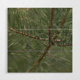 pine tree composition no.1 Wood Wall Art