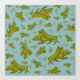 Little Grasshopper Canvas Print