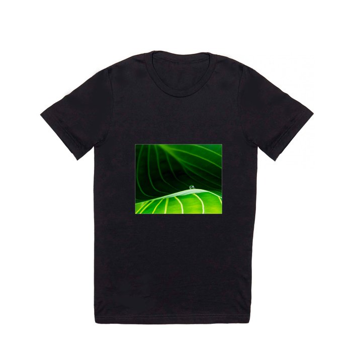 in green T Shirt
